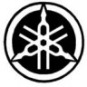 NDaveR